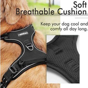 rabbitgoo Dog Harness, No-Pull Pet Harness with 2 Leash Clips, Adjustable Soft P